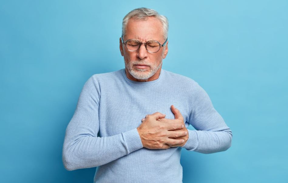 What Substance Found In Fats Is Thought To Contribute To Heart Disease